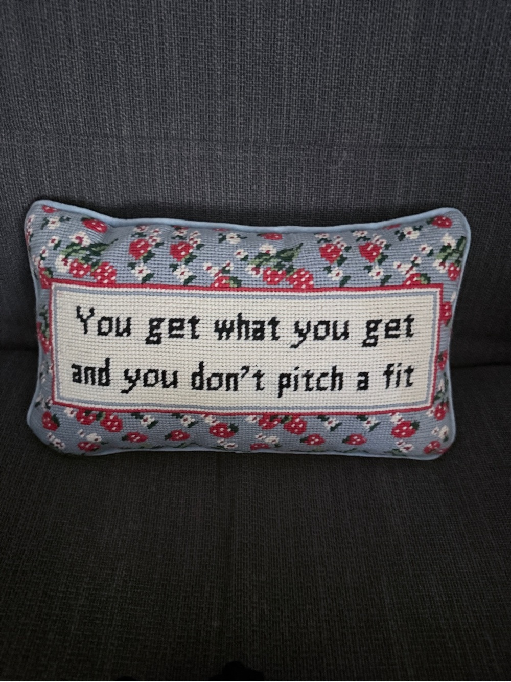 Furbish Studio Needlepoint Lumbar Pillow You Get What You Get Blue Strawberry